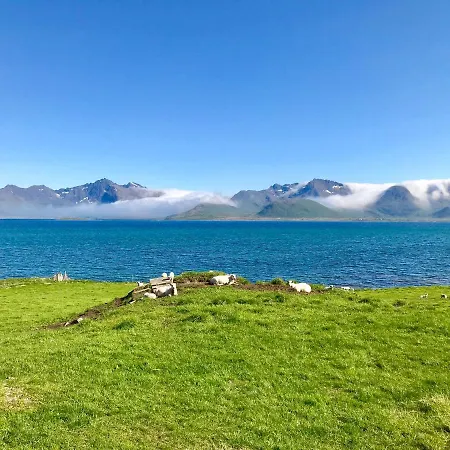 Midnight Sun Paradise Lofoten * Bostad