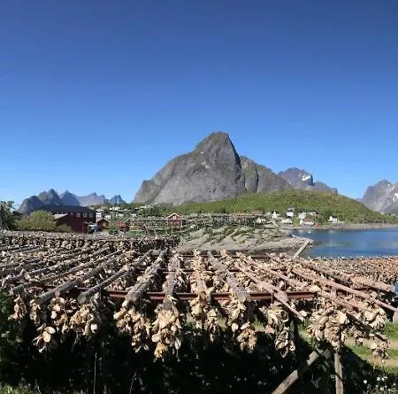 Midnight Sun Paradise Lofoten *