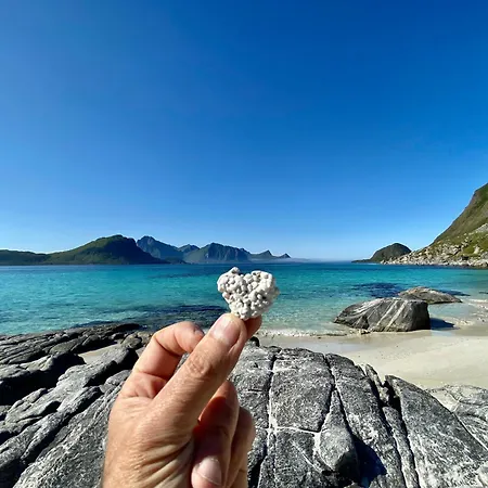 Midnight Sun Paradise Lofoten